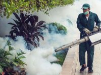 How to protect your home from unwanted pests