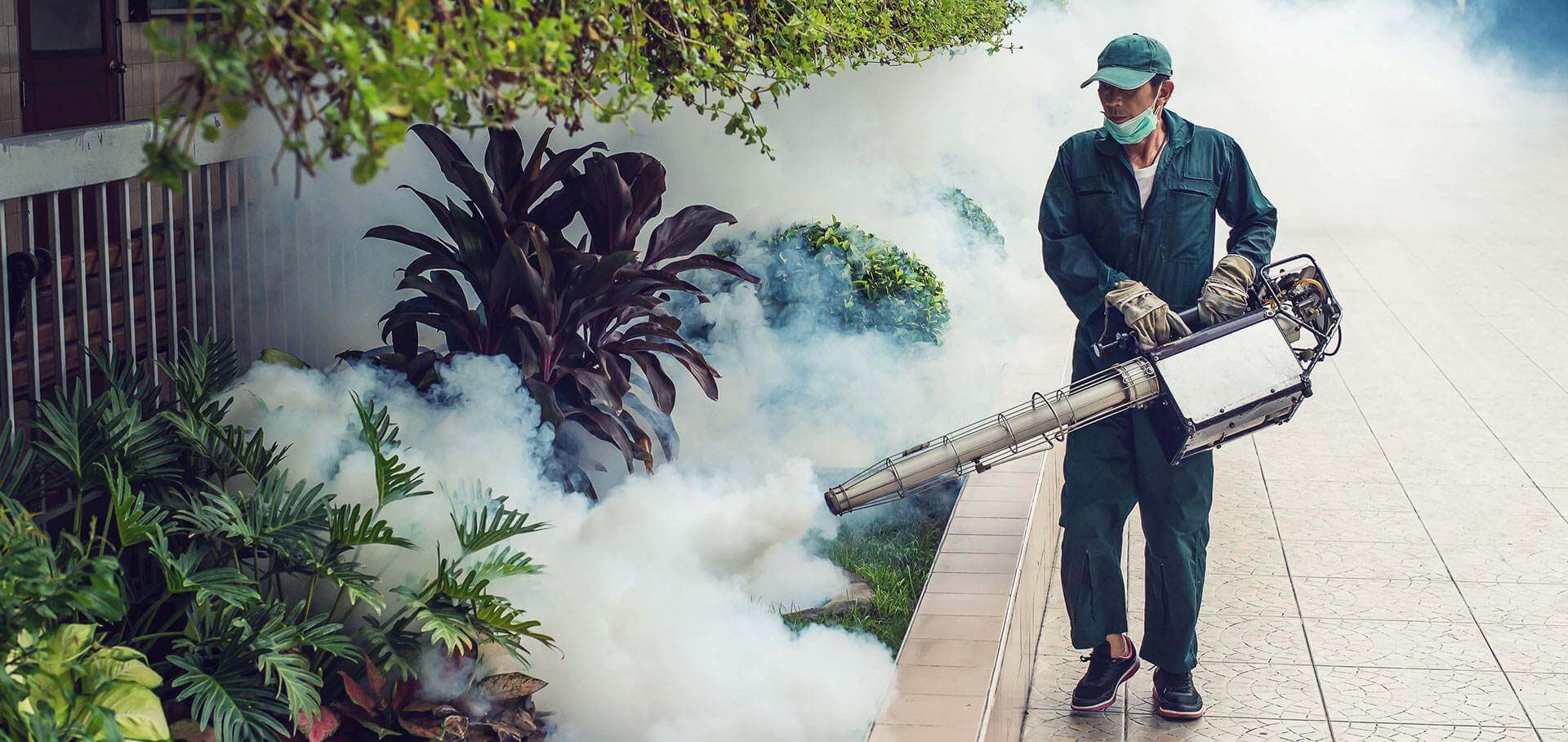 How to protect your home from unwanted pests