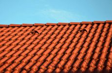 Understanding Different Roofing Materials and Repair Company Expertise