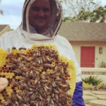 Safe and Humane Solutions for Managing Unwanted Bee Infestations
