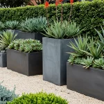 Smooth Cylinder Planters Introduce Sleek Silhouettes Into Balanced Plant Arrangements